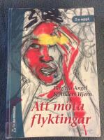 Att m&ouml;ta flyktingar