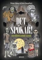 Det sp&ouml;kar! : en h&aring;rresande guide
