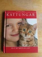 Kattungar