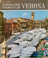 Strolling through Verona
