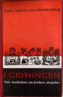I gryningen : tolv ber&auml;ttelser om jordens skapelse