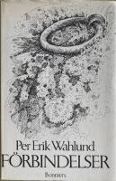 F&ouml;rbindelser : aderton essayer