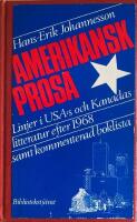 Amerikansk prosa : linjer i USA:s och Kanadas litteratur efter 1968 samt kommenterad boklista