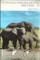 Entwicklungsgeschichte der Tiere II
