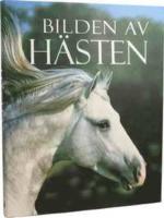 Bilden av h&auml;sten