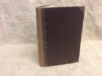 Robinsons koloni - ny Robinsonad