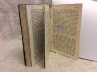 Robinsons koloni - ny Robinsonad