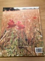 Smak av &Ouml;sterlen