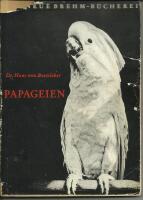 Papageien