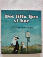 Det lilla ljus vi har