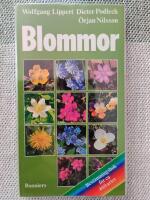 Blommor