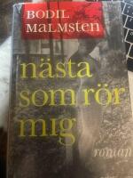 N&auml;sta som r&ouml;r mig : roman