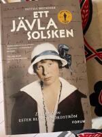 Ett j&auml;vla solsken : en biografi om Ester Blenda Nordstr&ouml;m