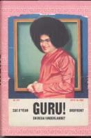 Guru! : en resa i underlandet