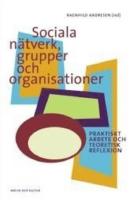 Sociala n&auml;tverk, grupper och organisationer : praktiskt arbete och teoretisk reflexion
