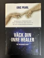 The reconnection = V&auml;ck din inre healer : &aring;terskapa f&ouml;rbindelsen till universum med hj&auml;lp av de nya energifrekvenserna
