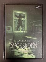 &Auml;ngeln p&aring; sp&ouml;kskolan