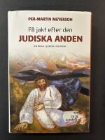 P&aring; jakt efter den judiska anden : en resa i judisk historia