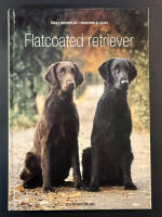Flatcoated retriever