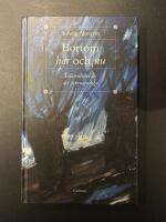 Bortom h&auml;r och nu : erfarenheter av det &ouml;vernaturliga