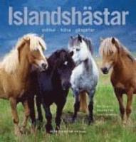 Islandsh&auml;star : sk&ouml;tsel, h&auml;lsa, g&aring;ngart