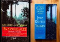 2 b&ouml;cker: Din personliga guide : den nionde insikten + Visionen