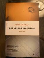 Det liknar ingenting : noveller