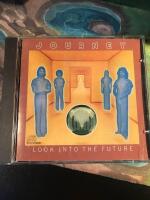 Look Into The Future