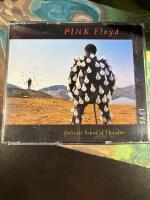 Delicate Sound Of Thunder (2CD)