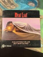 I'd Do Anything For Love (But I Won't Do That)