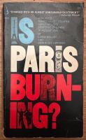 Is Paris Burning?