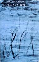 Bildstorm