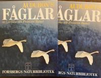 Audubons fåglar