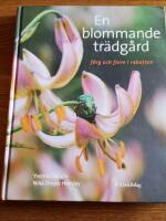 En blommande tr&auml;dg&aring;rd : f&auml;rg och form i rabatten