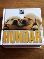 Hundar  Cube Book