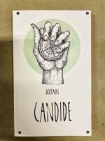 Candide eller optimisten