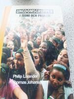 Ungdomsgrupper i teori och praktik