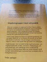 Ungdomsgrupper i teori och praktik
