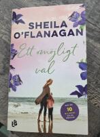 Ett om&ouml;jligt val