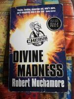 Divine madness [English] 