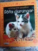 Pekbok-S&ouml;ta djurungar