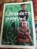 L&auml;randets grogrund : perspektiv och f&ouml;rh&aring;llningss&auml;tt i f&ouml;rskolans l&auml;roplan