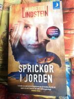Sprickor i jorden
