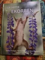 L&auml;r k&auml;nna ekorren