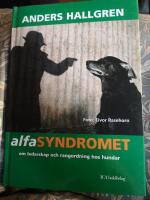 Alfasyndromet : om ledarskap och rangordning hos hundar