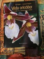 Vilda orkid&eacute;er
