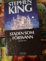 Staden som f&ouml;rsvann