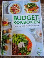 Budgetkokboken : enkel och snabb mat f&ouml;r lite pengar