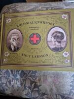 Kolonialsjukhuset : en koloniall&auml;kares anteckningar