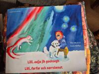 Lilli, farfar och norrskenet (sydsamiska och svenska)